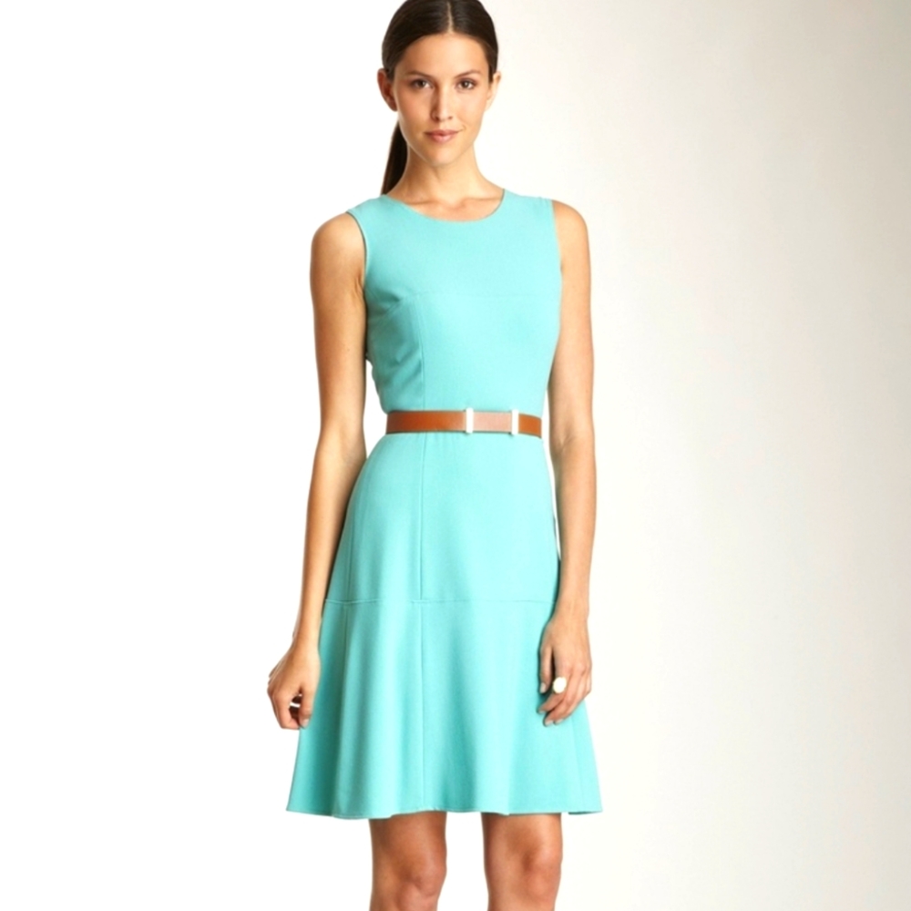 Calvin Klein Fit and Flare Dress